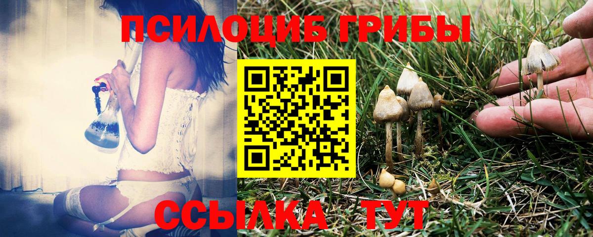 Галлюциногенные грибы Cubensis  Вход с VPN  Котельники  Псилоцибиновые грибы MAGIC MUSHROOMS 